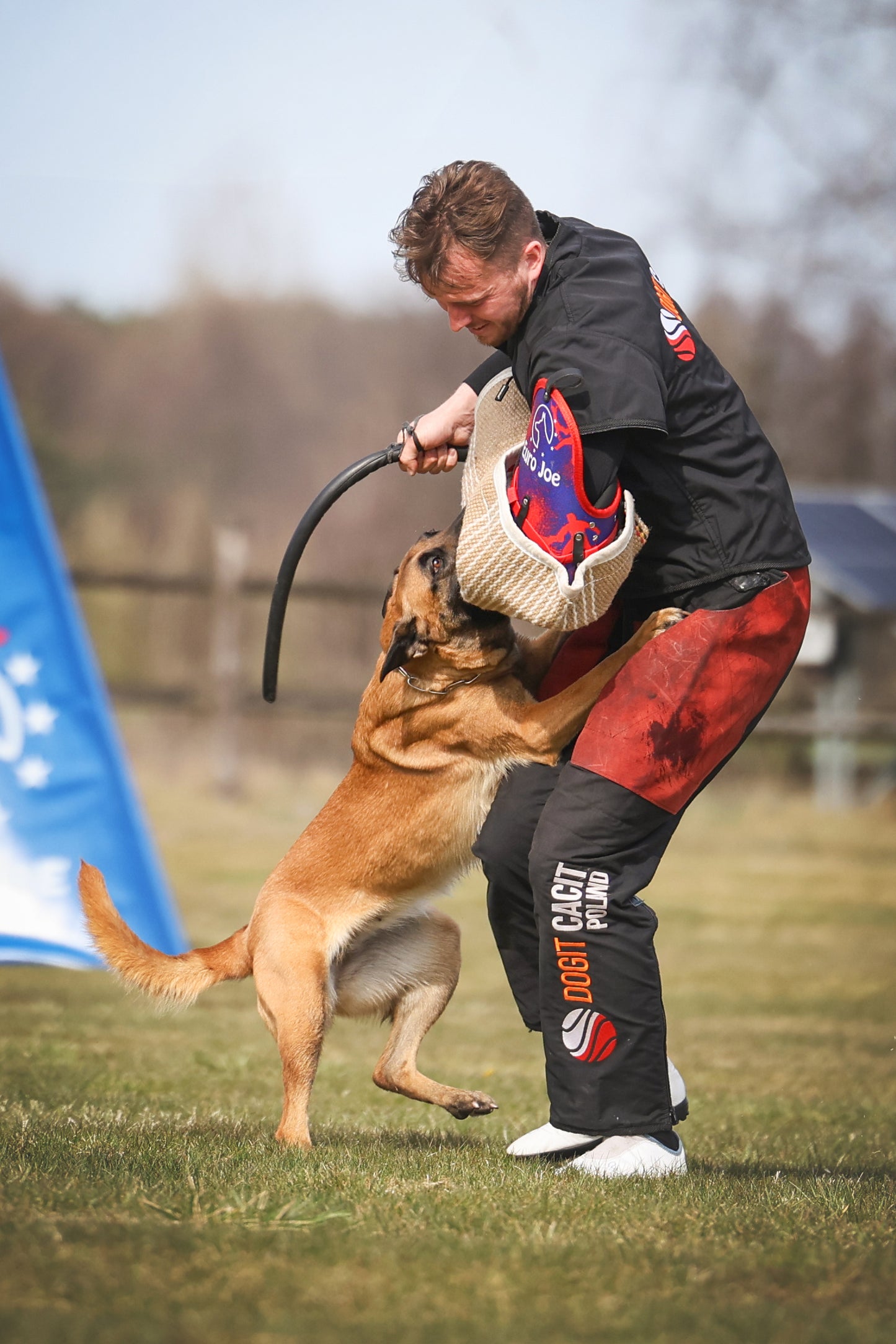 IGP rankovė