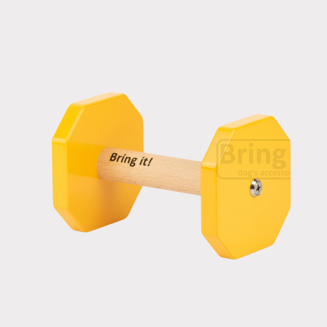 Obedience aportas S/M