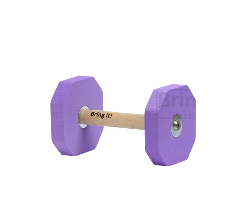 Obedience putų aportas