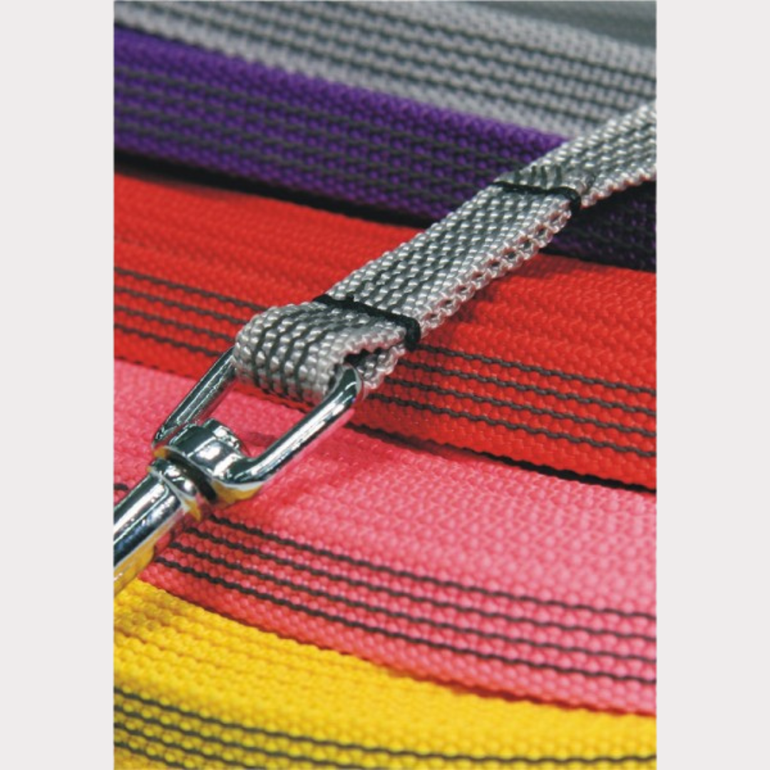 Rubbered leash