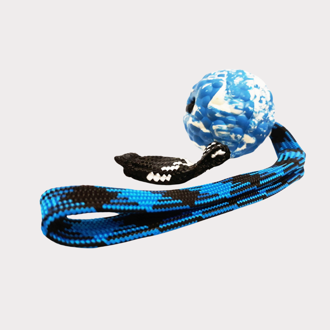 Magnetic ball with loop