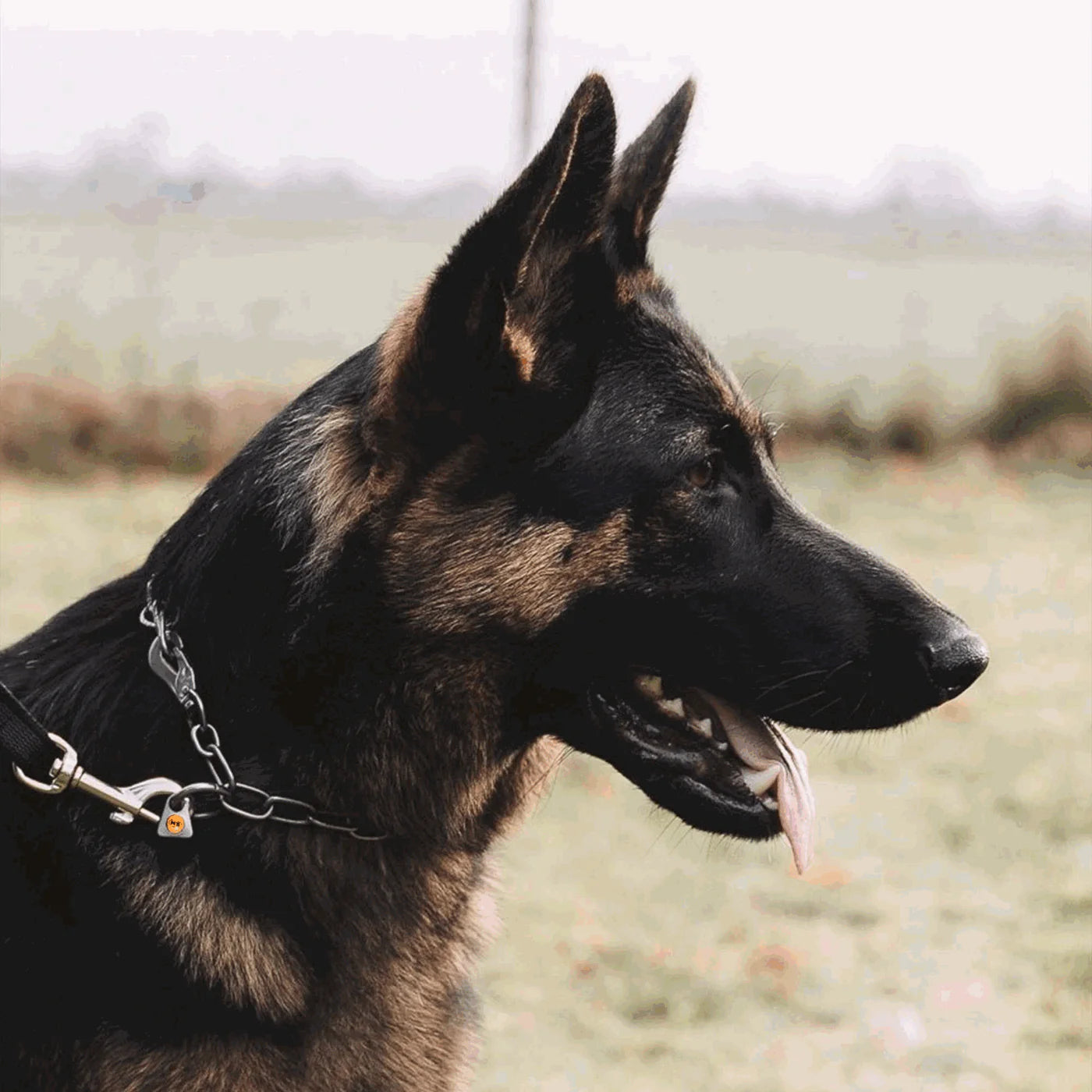 Herm Sprenger nerūdijančio plieno grandinėlė su karabinu