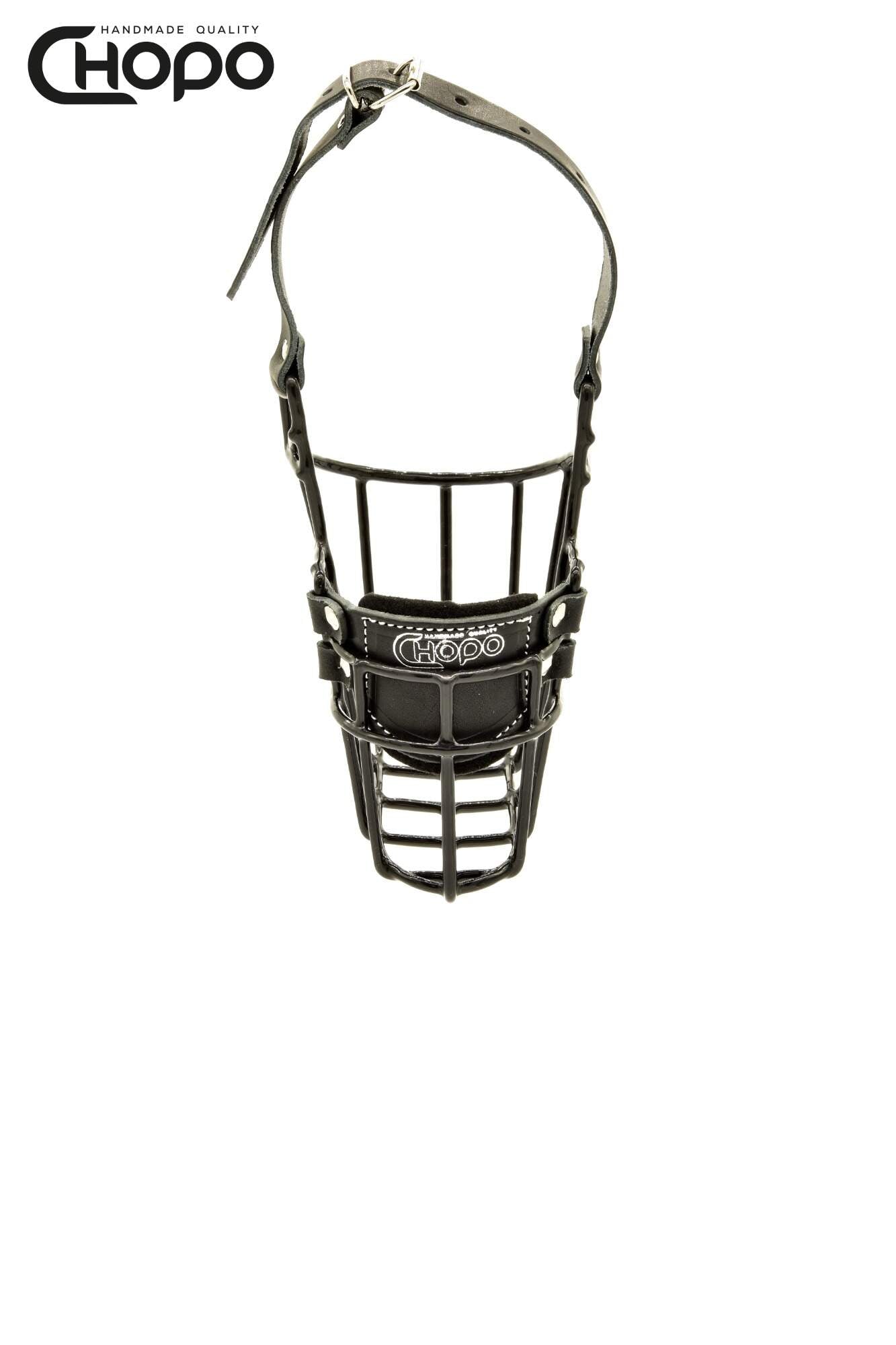 Antsnukis bulterjerui