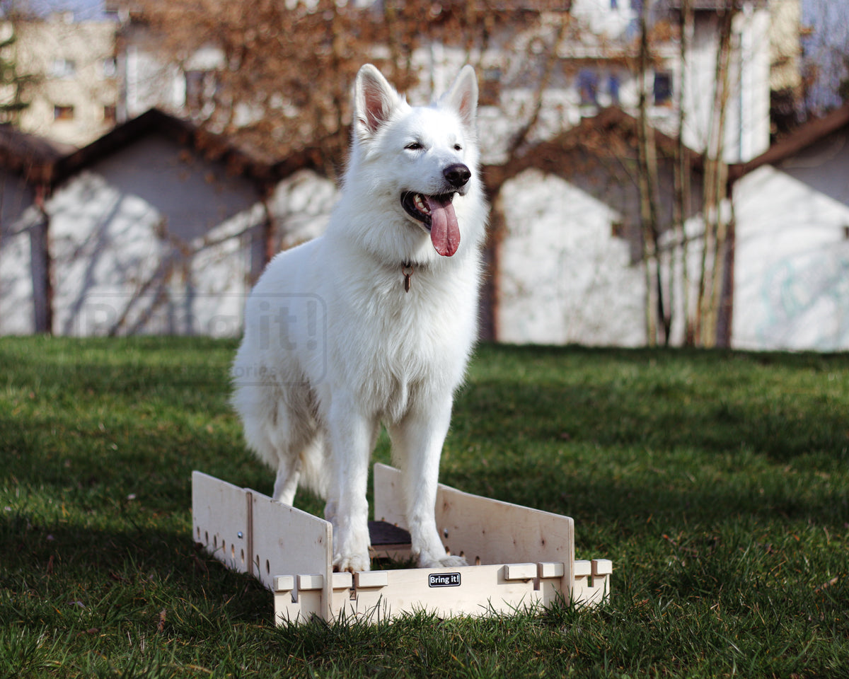 Dėžutė statinių pozicijų keitimui obedience