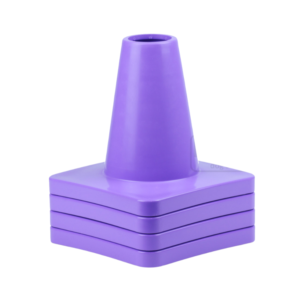 Kūgiai kvadrato pratymui obedience treniruotėse