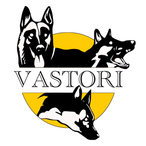 MB Vastori Dog Training