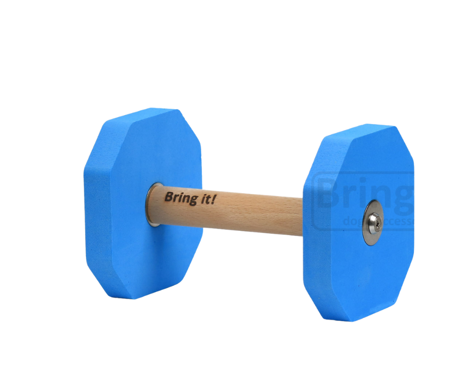 Obedience putų aportas