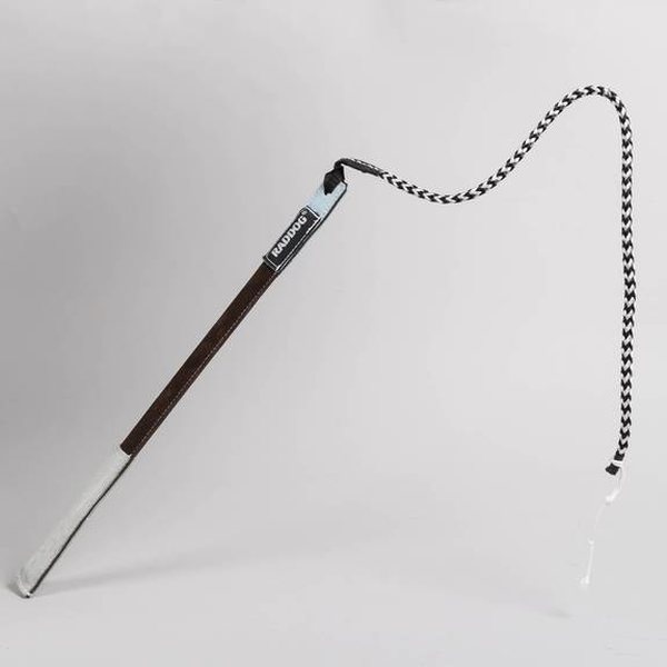 Apsaugos treniruočių botagas