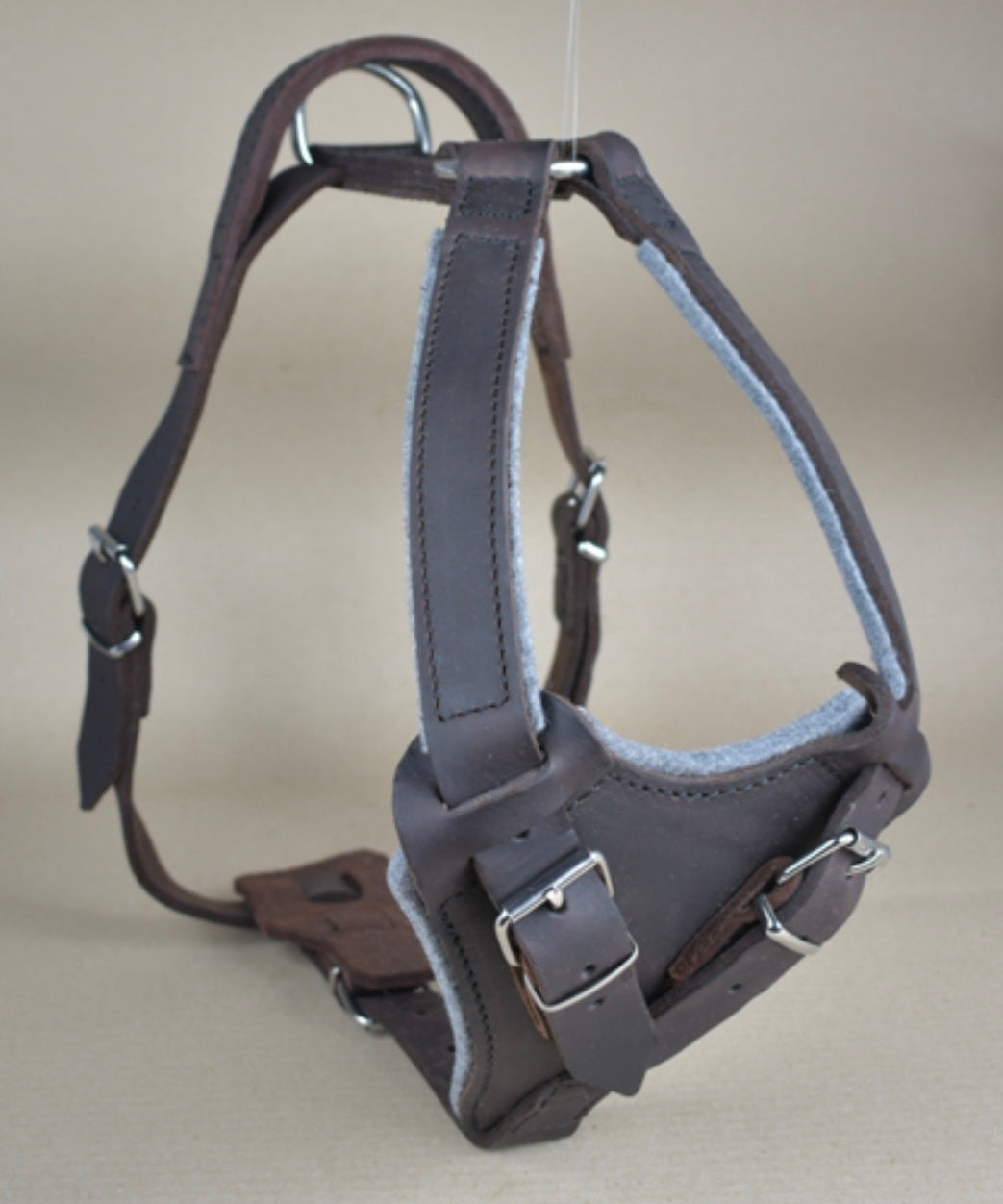 Petnešos apsaugos treniruotėms