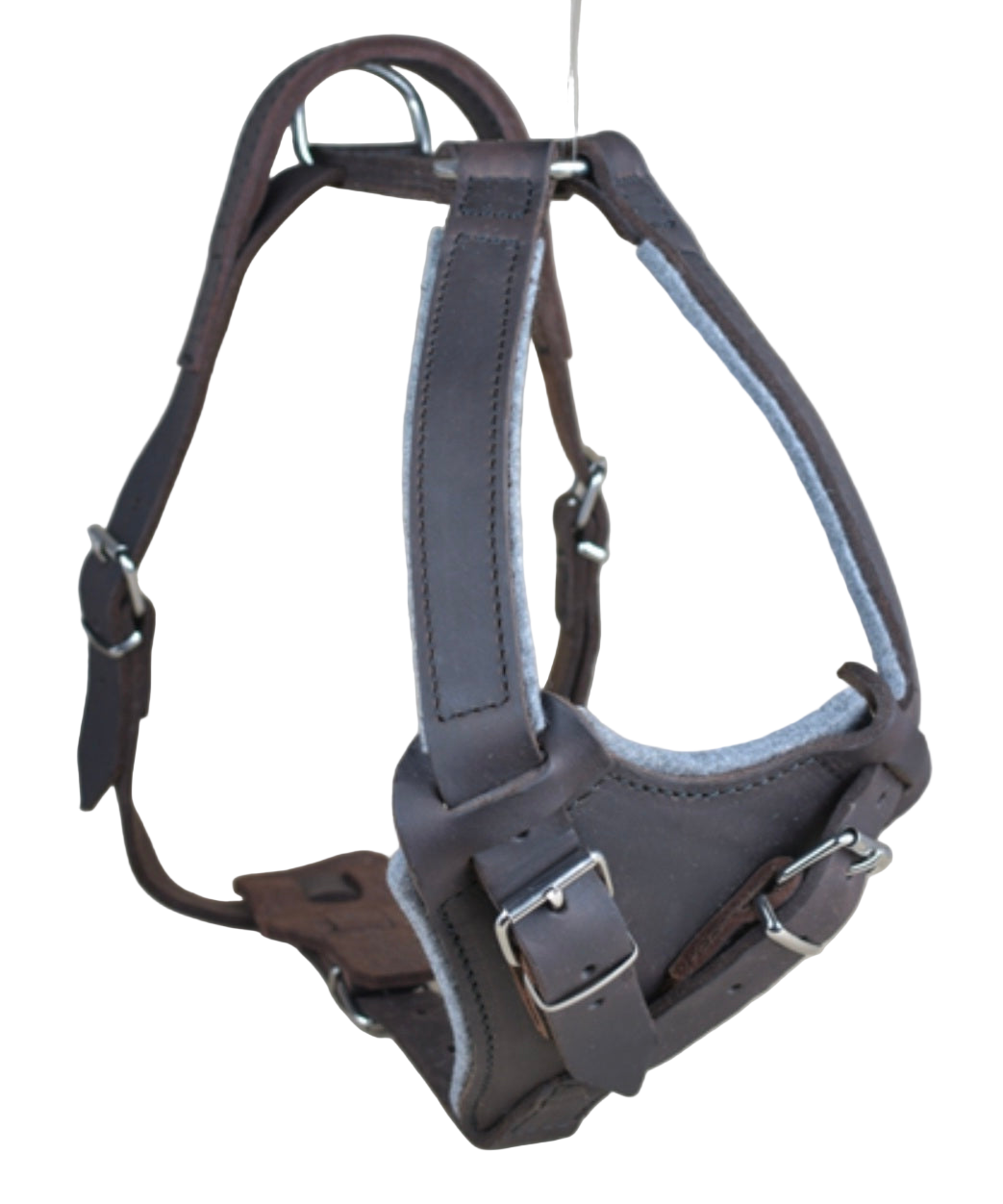 Petnešos apsaugos treniruotėms