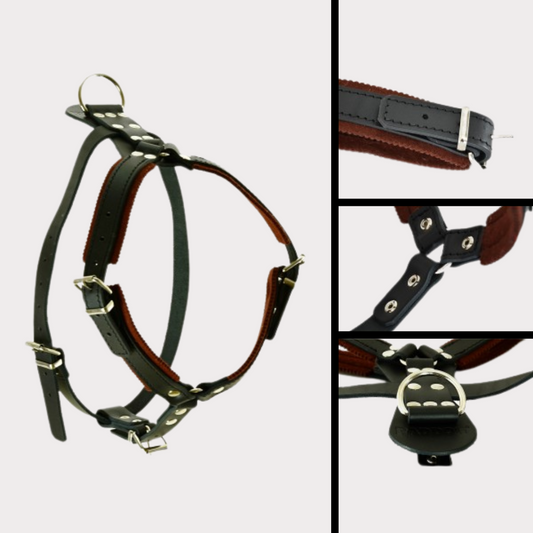 Leather harness