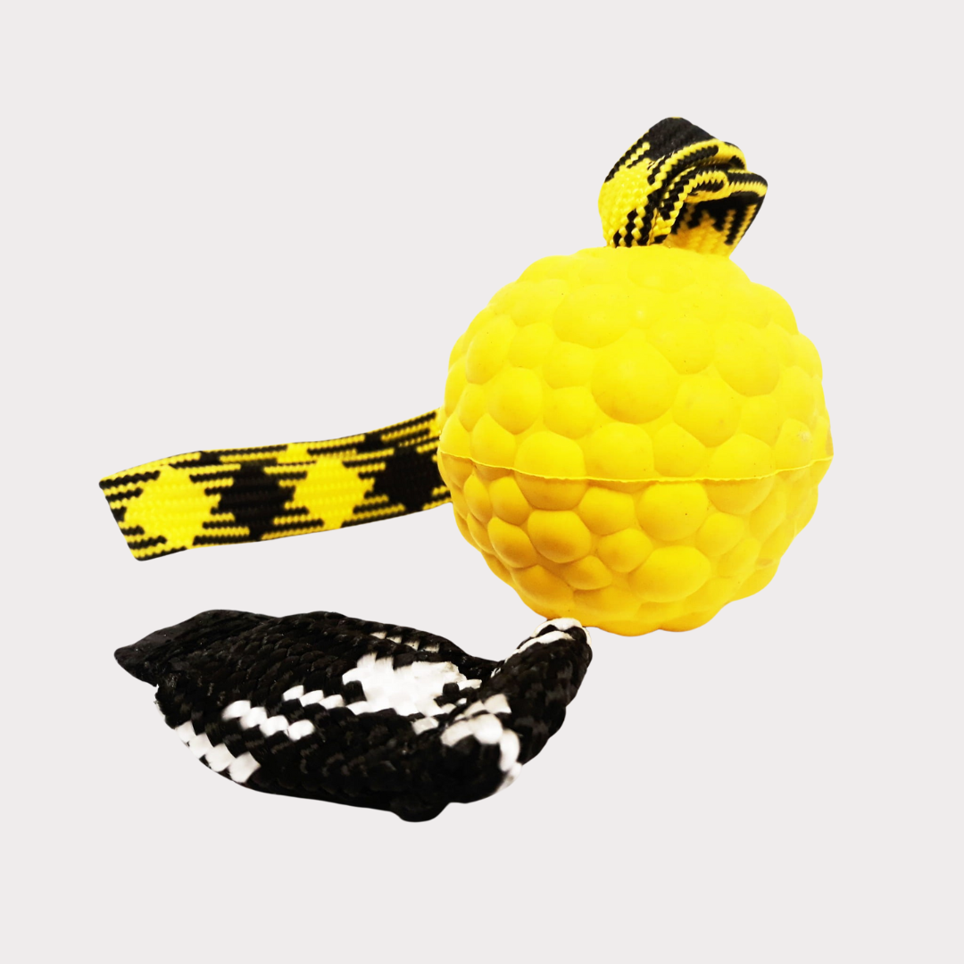 Magnetic ball with loop