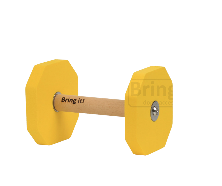 Obedience putų aportas